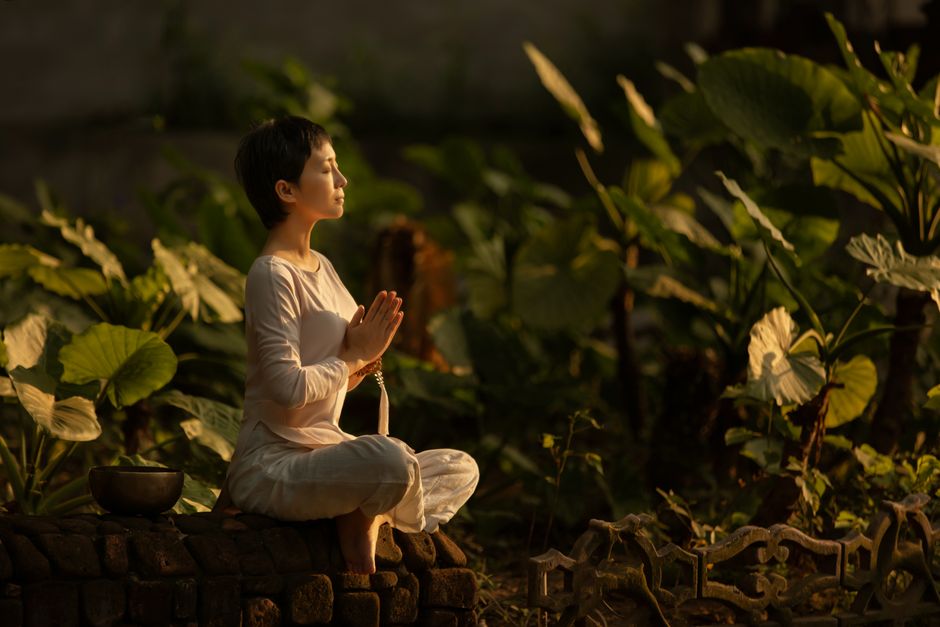 optimiser-l-efficacite-de-phytotherapie-plantes-anti-stress-7-astuces-de-specialiste
